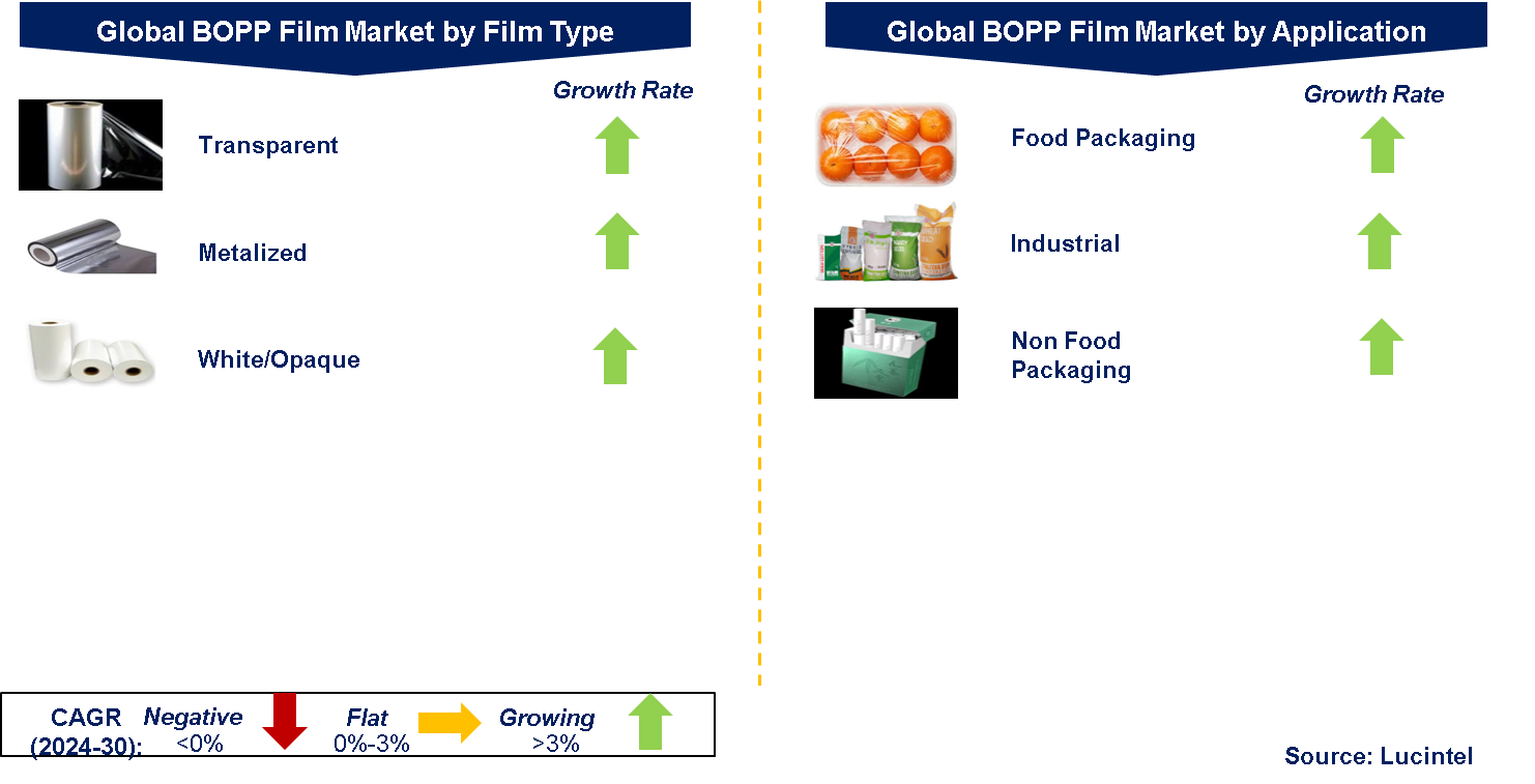 BOPP Film Market by Segment